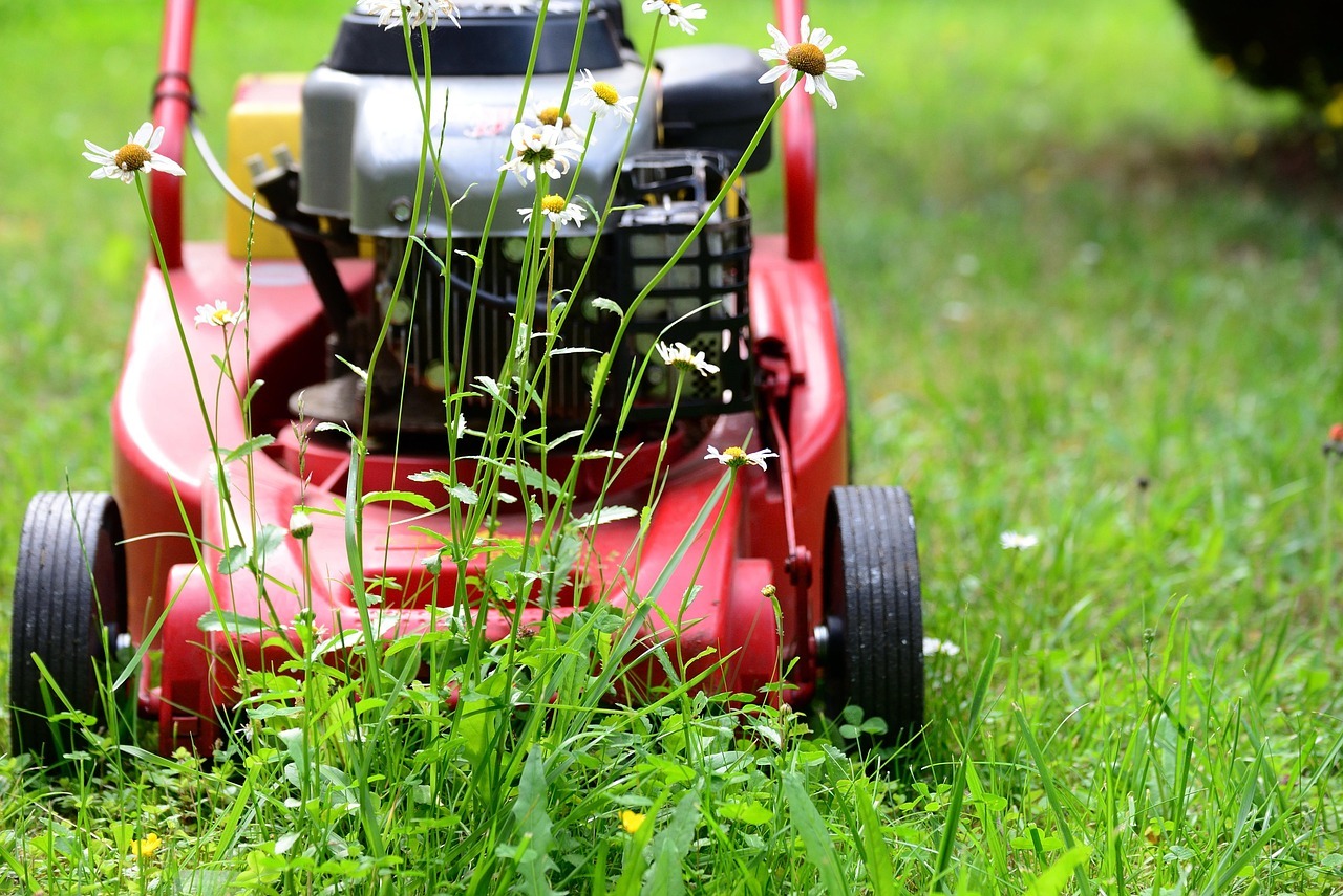 Customized Lawn Mowing Denver
