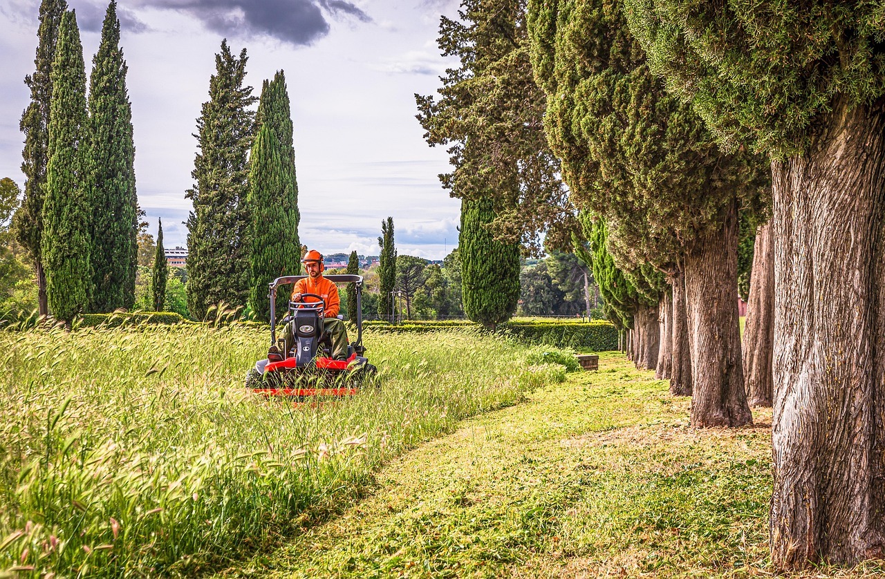 Denver Residential Lawn Mowing